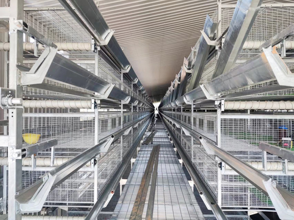 钢结构建筑自动化肉鸡养殖场鸡舍