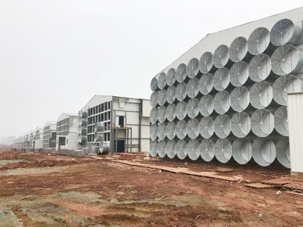 热销预制层鸡舍钢结构自动化家禽养殖场