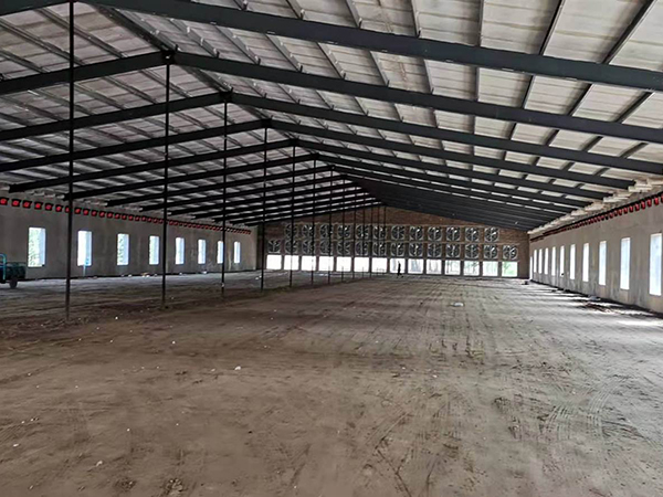 钢结构养殖场肉鸡棚施工设计鸡舍