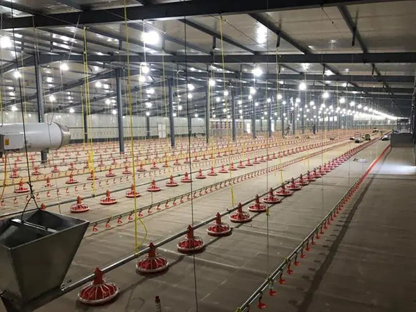 快装移动式鸡舍钢结构禽舍建筑