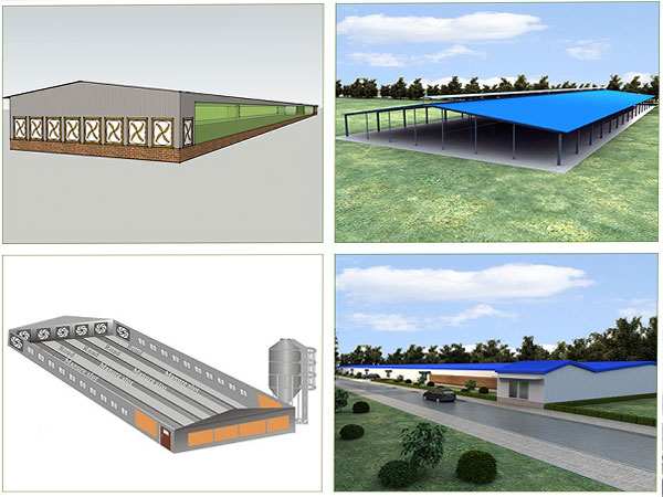 chicken coop
