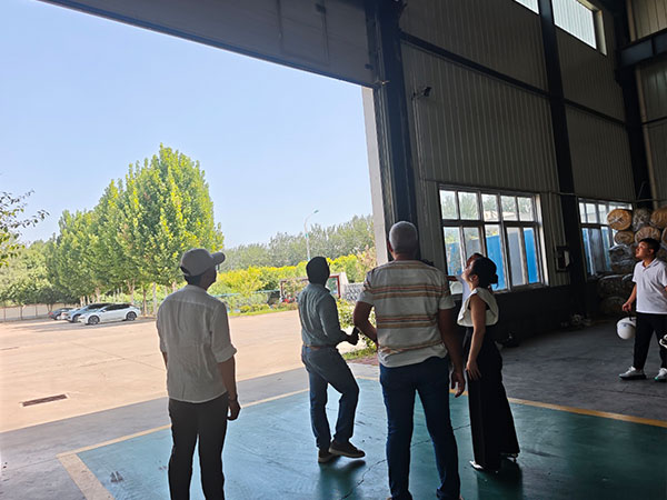 Zhang Jiankang's Mauritius Factory Audit
